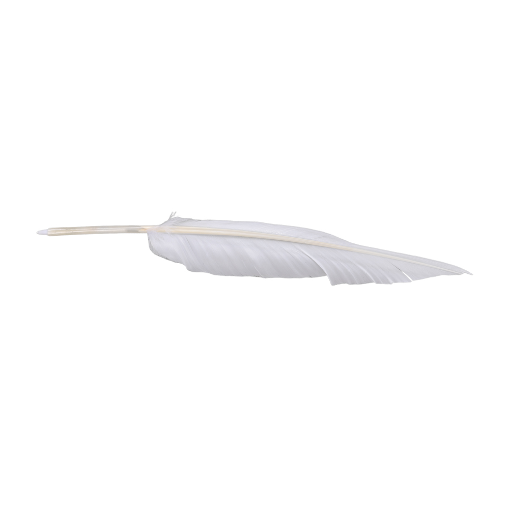 Accessori Cosplay Anime Sousou - Frieren Cosplay Prop recensione e prezzo